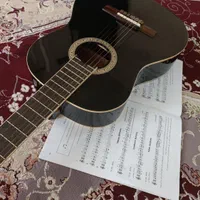 گیتار هافنر بلک