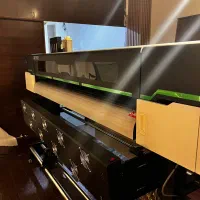 دستگاه اکوسالونت در حد اکبند ۲هد i3200|ماشین‌آلات صنعتی|تهران, تهرانپارس غربی|دیوار