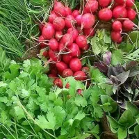 قسمتی-از-مغازه-140متری-اجاره-جهت-سبزی-قروش-بالا