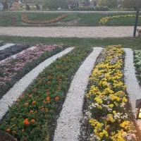 خدمات باغبانی و درختکاری و گیاهان آپارتمانی