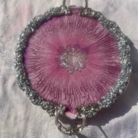 ظروف پذیرایی|ظروف سرو و پذیرایی|دزفول, |دیوار