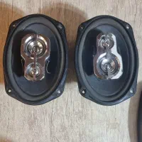 باند پایونیر ۶۹۷۵