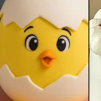 جوجه مرغ وخروس