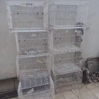قفس|لوازم جانبی حیوانات|جغتای, |دیوار