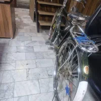 دوچرخه کلاسیک،مخصوص دکور،سالم،برای استفاده نیست|دوچرخه، اسکیت، اسکوتر|کرج, گلشهر|دیوار