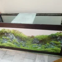 فروش آکواریوم با تجهیزات