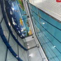 کفشدار و نظافتکار استخر
