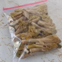مواد غذایی