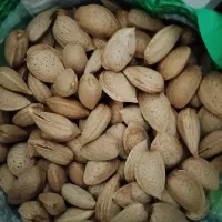 بادام