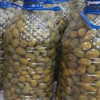 زیتون|عمدهفروشی|صدرا-فارس, فاز ۱|دیوار