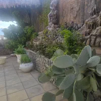 کارگر جهت کار در باغ