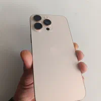 16promax