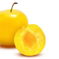 تولید و فروش نهال آلو زرد خورشتی|خدمات باغبانی و درختکاری|تنکمان, |دیوار