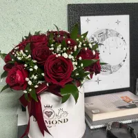 گل رز|گل و گیاه طبیعی|مشهد, آبکوه|دیوار