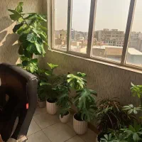80-متر-اداری-مهرویلا