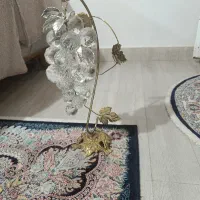 انگور دکوری