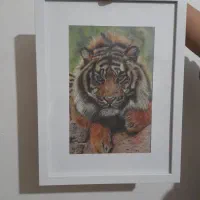 فروش تابلو مداد رنگی و پاستل گچی