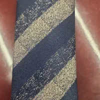 منشی مجرد خانم