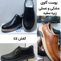 کفش cz تمام چرم طبیعی تبریز ( 1 )