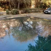 اردی مدل ۸۳ سالم بسیار تمیز|خودرو سواری و وانت|تهران, یافتآباد|دیوار