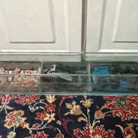 سامپ آکواریوم