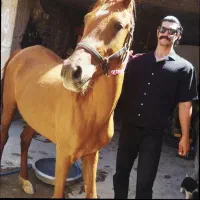 فروش کره مادیون دره شوری