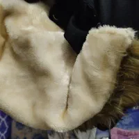 پالتو|لباس|مشهد, شهید علی محمدی|دیوار