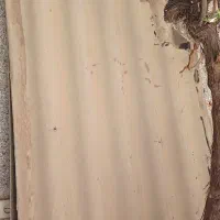 شیروانی سیمانی