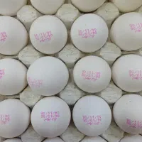 واگذاری-مغازه-سوپر-مارکت-و-پروتئینی