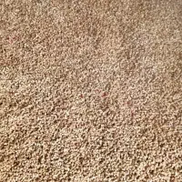 توت خشک شیرین وارگانیک