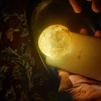 دوعددسیم کارت خشک ا پتل جدیدویژه عروس ودامادخط رند