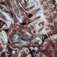 قلمه گوسفندی تازه تازه کیلو 200