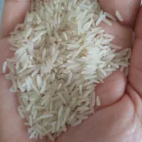 برنج فجر سوزنی|خوردنی و آشامیدنی|شاهرود, |دیوار