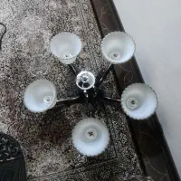 لوستر ۵ شاخه|لوستر و چراغ آویز|بندرعباس, |دیوار