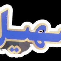جذب راننده با خودرو برای آژانس|استخدام حمل و نقل|رشت, کاکتوس|دیوار