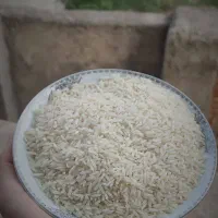 برنج طارم هاشمی