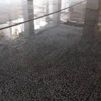 شستشو آپارتمان( پارکینگ پله و ویلایی) با دستگاه|خدمات نظافت|قائم‌شهر, |دیوار