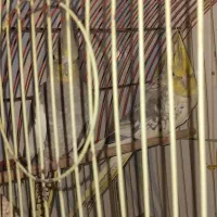 عروس هلندی|پرنده|سهند, |دیوار