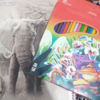 دفتر نقاشی فیلی و جعبه مداد رنگی ۲۴ رنگ