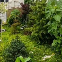 زوج بدون فرزند جهت سرایداری یا خانم تنها