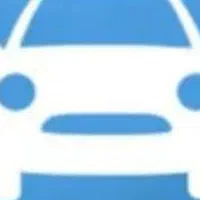 راننده شخصی