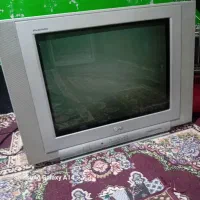 تلویزیون