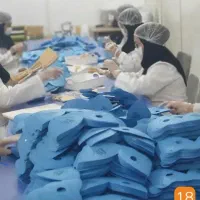 استخدام کارگر خانم برای بسته بندی و تولید ماسک