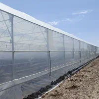 ساخت و تعمیرات گلخانه|خدمات باغبانی و درختکاری|جوادآباد, |دیوار