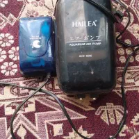 وسایل اکواریوم|ماهی|خوی, |دیوار