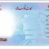 کارت ملی گمشده (پریسا کریمی)