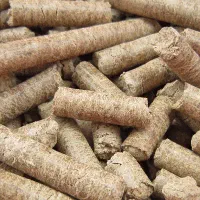 کنجاله / تفاله هسته زردآلو (شیرین)