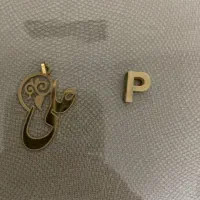 دو عدد پلاک