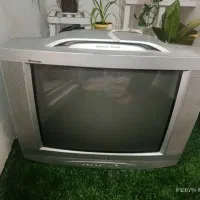 تلویزیون
