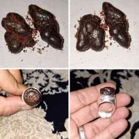 دعا سرکتاب و کلی خدمات